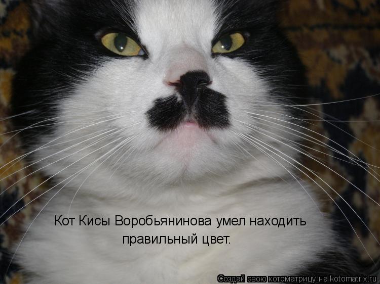 Котоматрица: Кот Кисы Воробьянинова умел находить  правильный цвет.