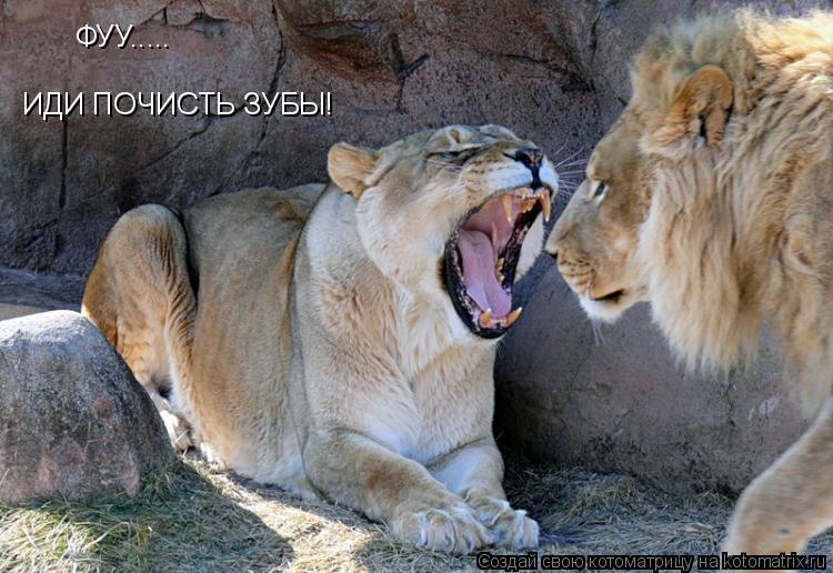Котоматрица: ФУУ..... ИДИ ПОЧИСТЬ ЗУБЫ!