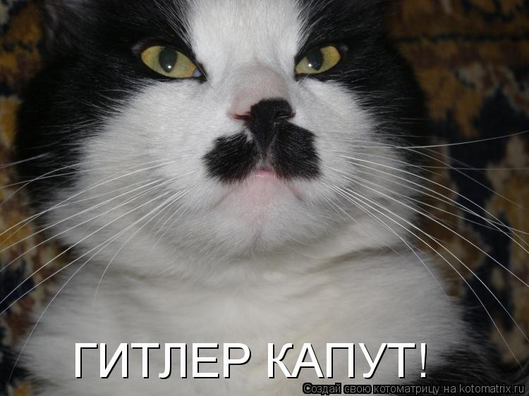 Котоматрица: ГИТЛЕР КАПУТ!
