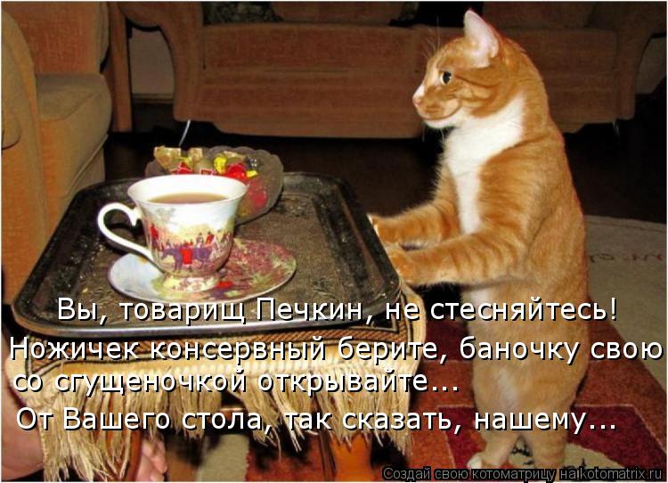 Котоматрица: Вы, товарищ Печкин, не стесняйтесь! Ножичек консервный берите, баночку свою со сгущеночкой открывайте... От Вашего стола, так сказать, нашему