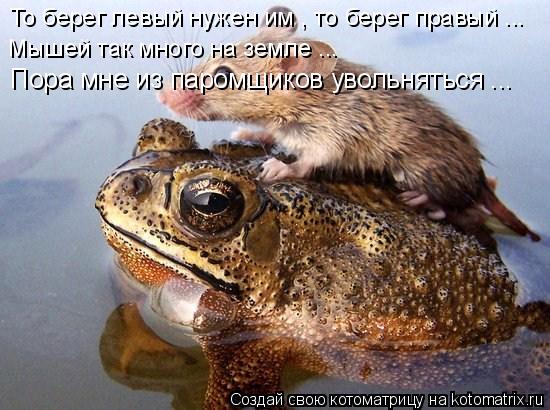Котоматрица: То берег левый нужен им , то берег правый ... Мышей так много на земле ... Пора мне из паромщиков увольняться ...