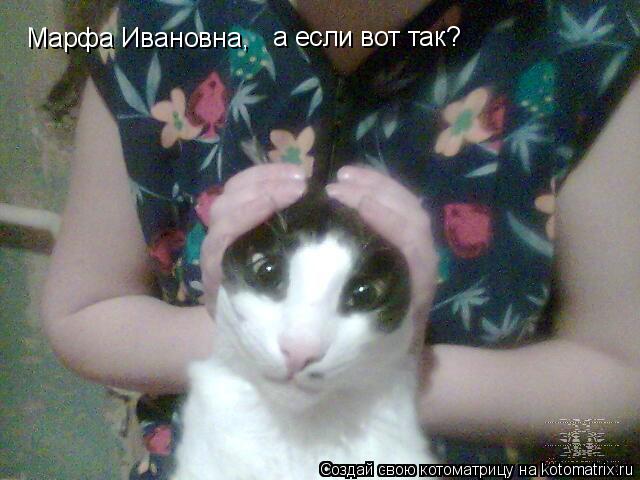Котоматрица: Марфа Ивановна, Марфа Ивановна, а если вот так?