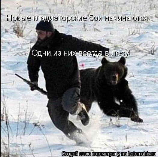 Котоматрица: Новые гладиаторские бои начинаются! Одни из них всегда в лесу!