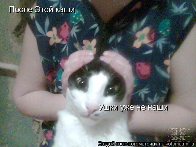 Котоматрица: После Этой каши Ушки уже не наши