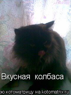 Котоматрица: Вкусная  колбаса