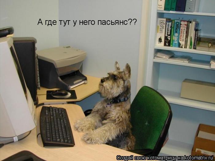 Котоматрица: А где тут у него пасьянс??