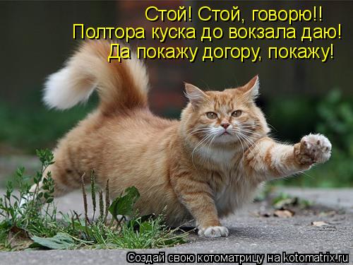 Котоматрица: Стой! Стой, говорю!! Полтора куска до вокзала даю! Да покажу догору, покажу!