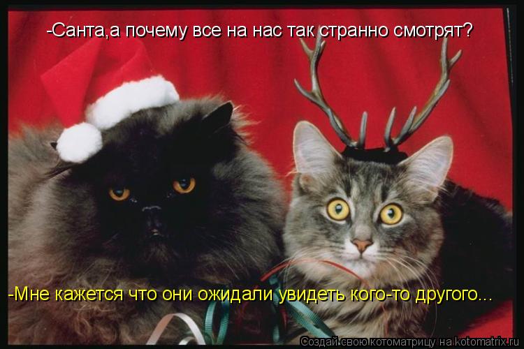 Котоматрица: -Санта,а почему все на нас так странно смотрят? -Мне кажется что они ожидали увидеть кого-то другого...