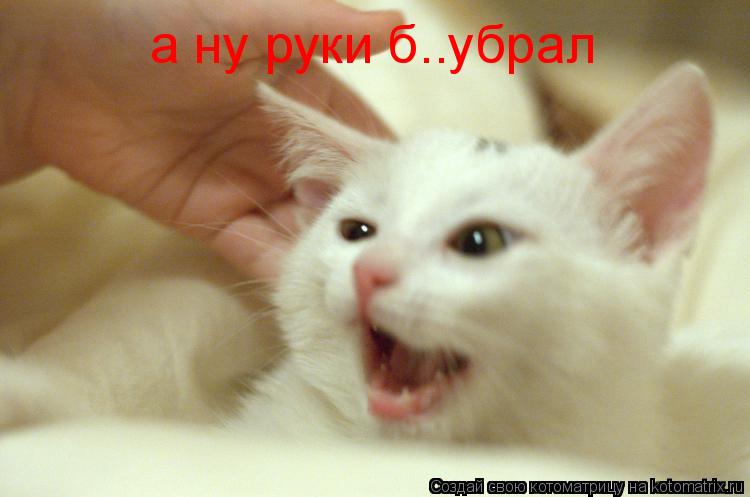 Котоматрица: а ну руки б..убрал