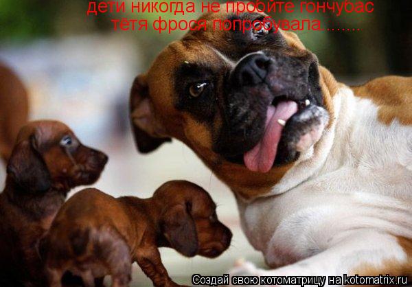Котоматрица: дети никогда не пробйте гончубас тётя фрося попробувала........