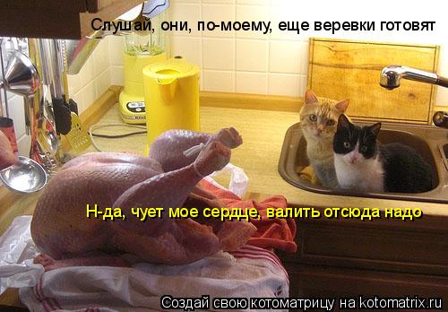 Котоматрица: Слушай, они, по-моему, еще веревки готовят Н-да, чует мое сердце, валить отсюда надо