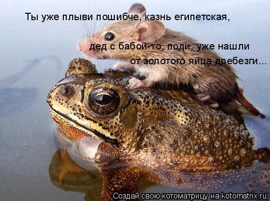 Котоматрица: Ты уже плыви пошибче, казнь египетская, дед с бабой-то, поди, уже нашли от золотого яйца дребезги...