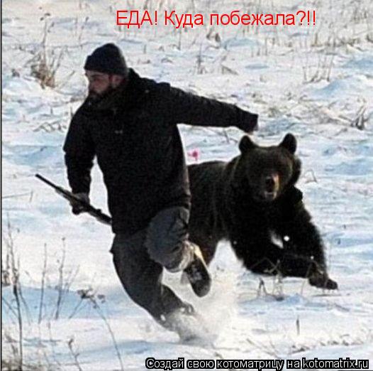 Котоматрица: ЕДА! Куда побежала?!!