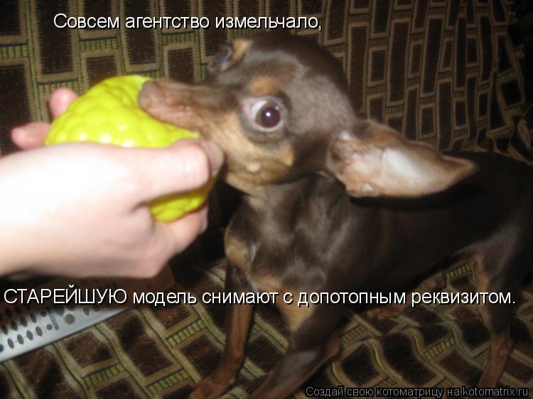Котоматрица: Совсем агентство измельчало, СТАРЕЙШУЮ модель снимают с допотопным реквизитом.