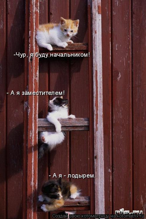 Котоматрица: -Чур, я буду начальником! - А я заместителем! - А я - лодырем.