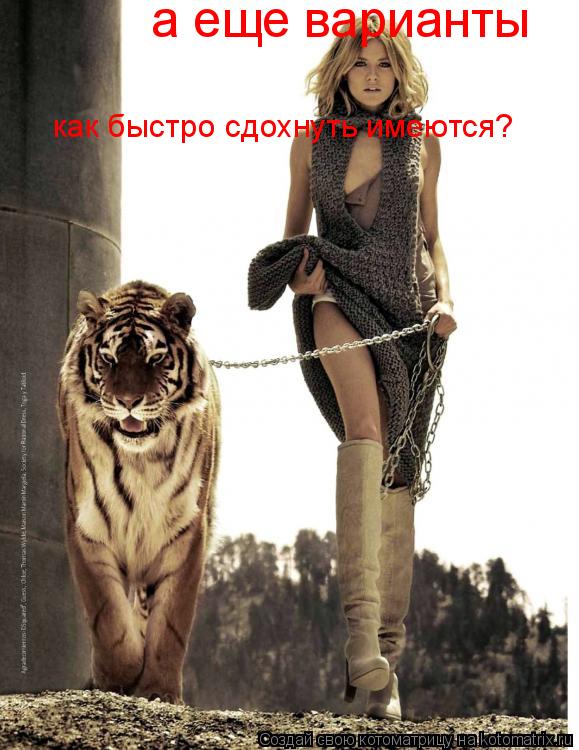 Котоматрица: а еще варианты  как быстро сдохнуть имеются?