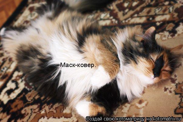 Котоматрица: Маск-ковер.