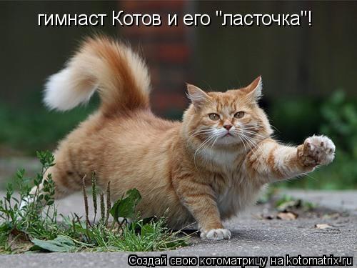 Котоматрица: гимнаст Котов и его "ласточка"!