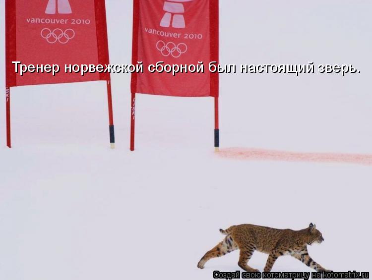 Котоматрица: Тренер норвежской сборной был настоящий зверь.