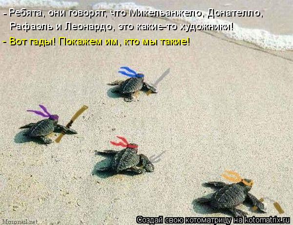 Котоматрица: Ребята, они говорят, что Микельанжело, Донателло,  Рафаэль и Леонардо, это какие-то художники! - Вот гады! Покажем им, кто мы такие! -