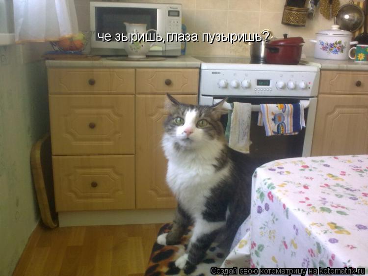 Котоматрица: че зыришь,глаза пузыришь?