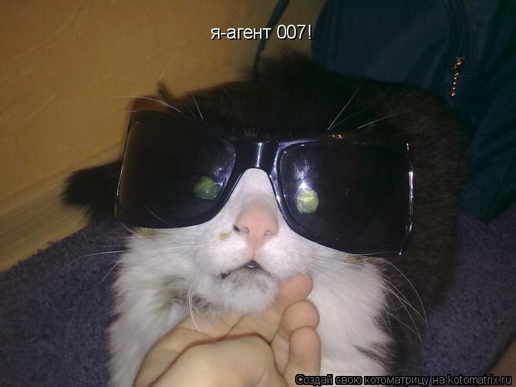 Котоматрица: я-агент 007!