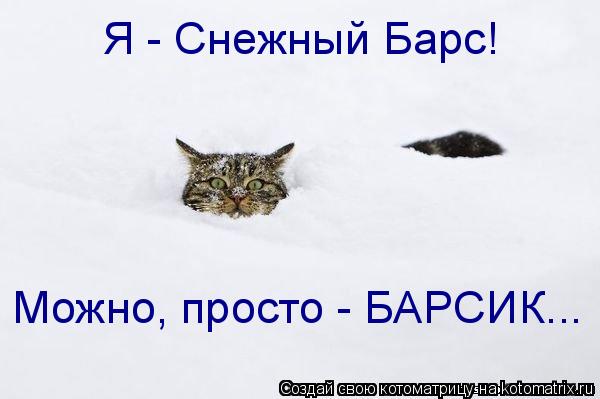 Котоматрица: Я - Снежный Барс! Можно, просто - БАРСИК...