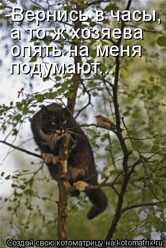 -Вернись в часы, а то ж хозяева опять на меня подумают...... Котоматрица: -Вернись в часы, а то ж хозяева опять на меня подумают...