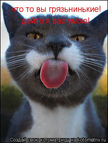 Котоматрица: что то вы грязьнинькие! дайте я вас умою!