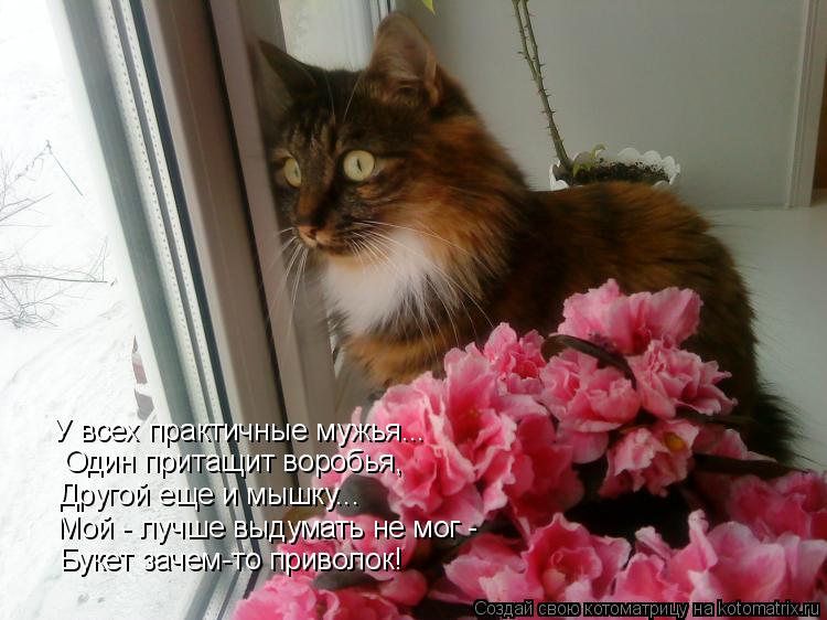 У всех практичные мужья... Один притащит воробья, Другой еще и мышку... Мой - лучше выдумать не мог -... Котоматрица: У всех практичные мужья... Один притащит воробья, Другой еще и мышку... Мой - лучше выдумать не мог - Букет зачем-то приволок!