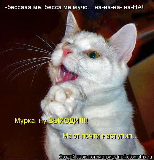 Котоматрица: -бессааа ме, бесса ме мучо... на-на-на- на-НА! Мурка, ну ВЫХОДИ!!!!  Март почти наступил...