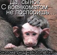 Котоматрица: Да, сынок...  С военкоматом  не поспоришь...