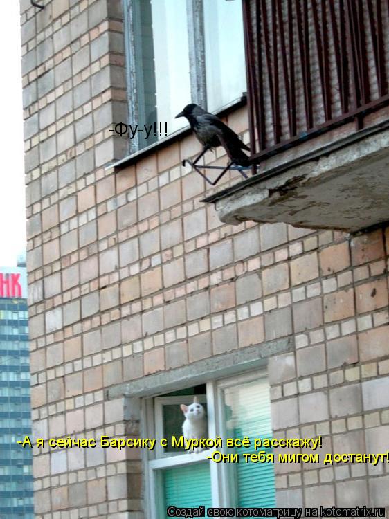 Котоматрица: -Фу-у!!! -А я сейчас Барсику с Муркой всё расскажу! -Они тебя мигом достанут!