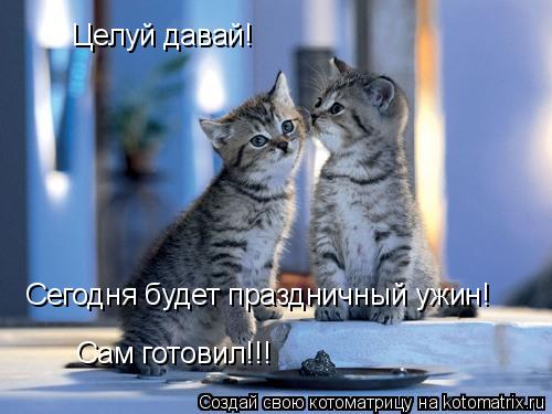 Котоматрица: Целуй давай!   Сегодня будет праздничный ужин! Сам готовил!!!