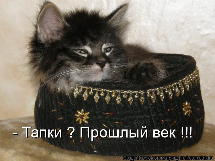 Котоматрица: - Тапки ? Прошлый век !!!