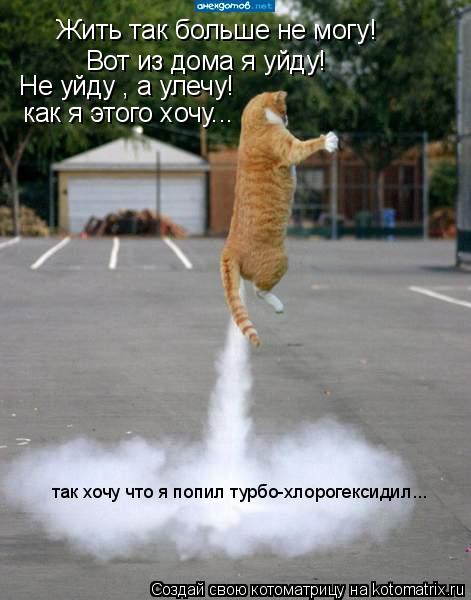 Котоматрица: Жить так больше не могу! Вот из дома я уйду! Не уйду , а улечу! как я этого хочу... так хочу что я попил турбо-хлорогексидил...