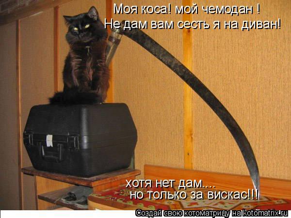 Котоматрица: Моя коса! мой чемодан ! Не дам вам сесть я на диван! хотя нет дам.... но только за вискас!!!