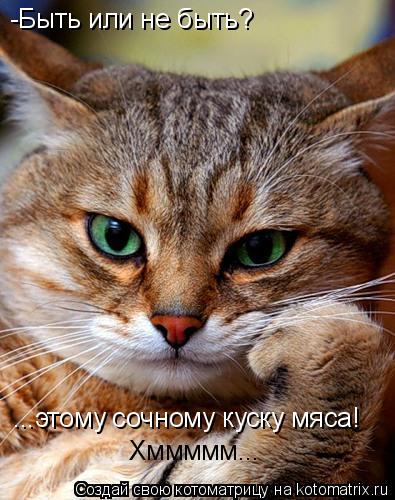 Котоматрица: -Быть или не быть? ...этому сочному куску мяса! Хммммм...