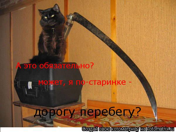 Котоматрица: А это обязательно? может, я по-старинке -  дорогу перебегу?