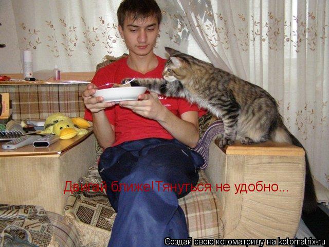 Котоматрица: Двигай ближе!Тянуться не удобно...