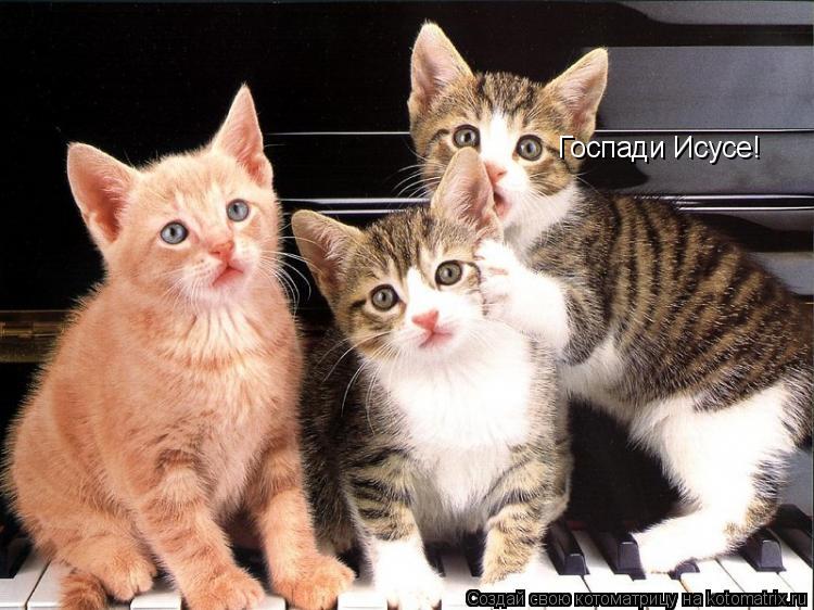Котоматрица: Госпади Исусе!