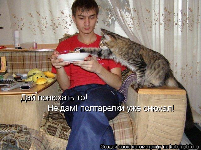 Котоматрица: Дай понюхать то! Не дам! полтарелки уже снюхал!