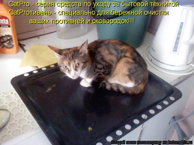 Котоматрица: CatPro - серия средств по уходу за бытовой техникой CatProтивень - специально для бережной очистки ваших противней и сковородок!!!