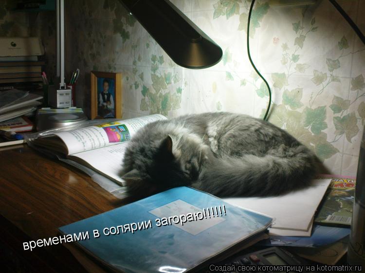 Котоматрица: временами в солярии загораю!!!!!!