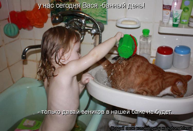 у нас сегодня Вася -банный день! - только давай веников в нашей бане не будет..... Котоматрица: у нас сегодня Вася -банный день! - только давай веников в нашей бане не будет..