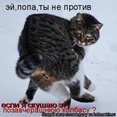 Котоматрица: эй,попа,ты не против если я скушаю эту позавчерашнюю колбасу ?.. если я скушаю эту