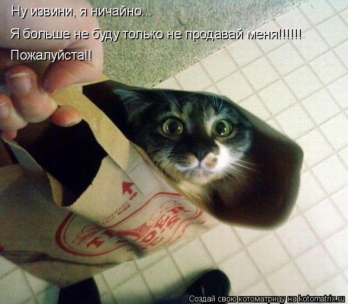 Котоматрица: Ну извини, я ничайно... Я больше не буду только не продавай меня!!!!!! Пожалуйста!!