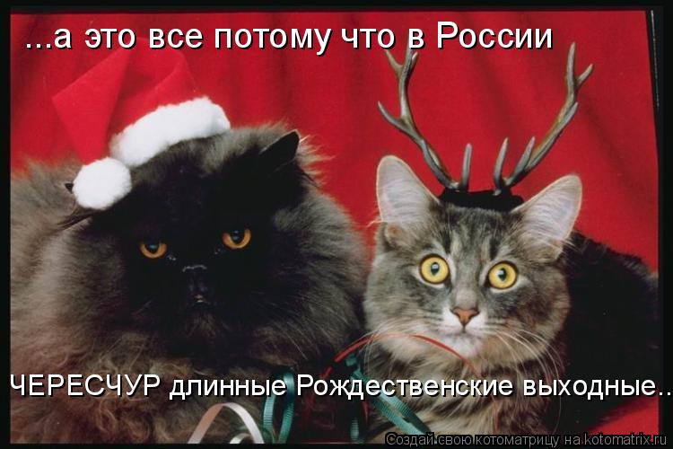 Котоматрица: ...а это все потому что в России ЧЕРЕСЧУР длинные Рождественские выходные...