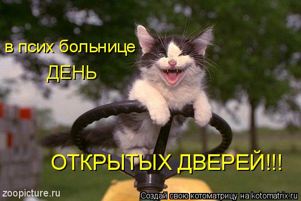 Котоматрица: в псих больнице ДЕНЬ ОТКРЫТЫХ ДВЕРЕЙ!!!