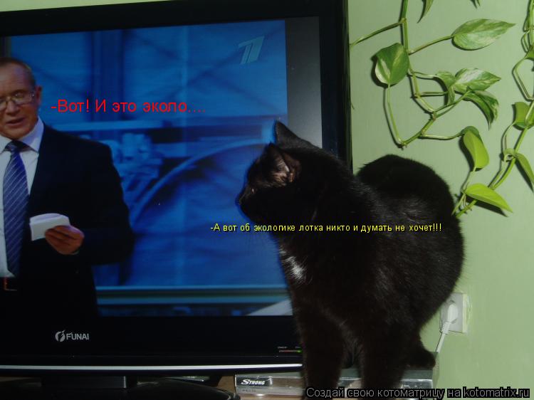 Котоматрица: -А вот об экологике лотка никто и думать не хочет!!! -Вот! И это эколо....